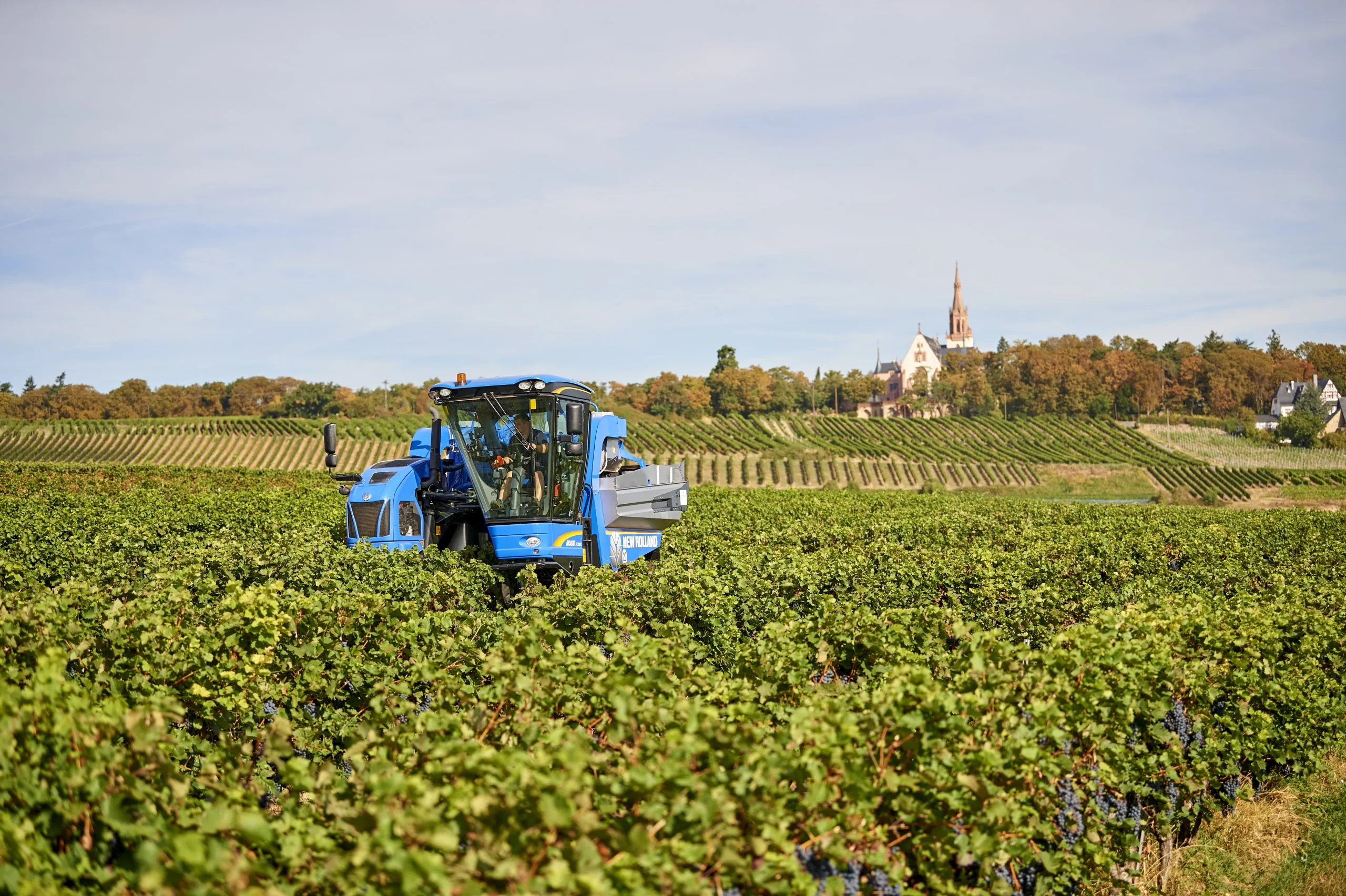 Weinlese: Lesemaschine im Weinberg