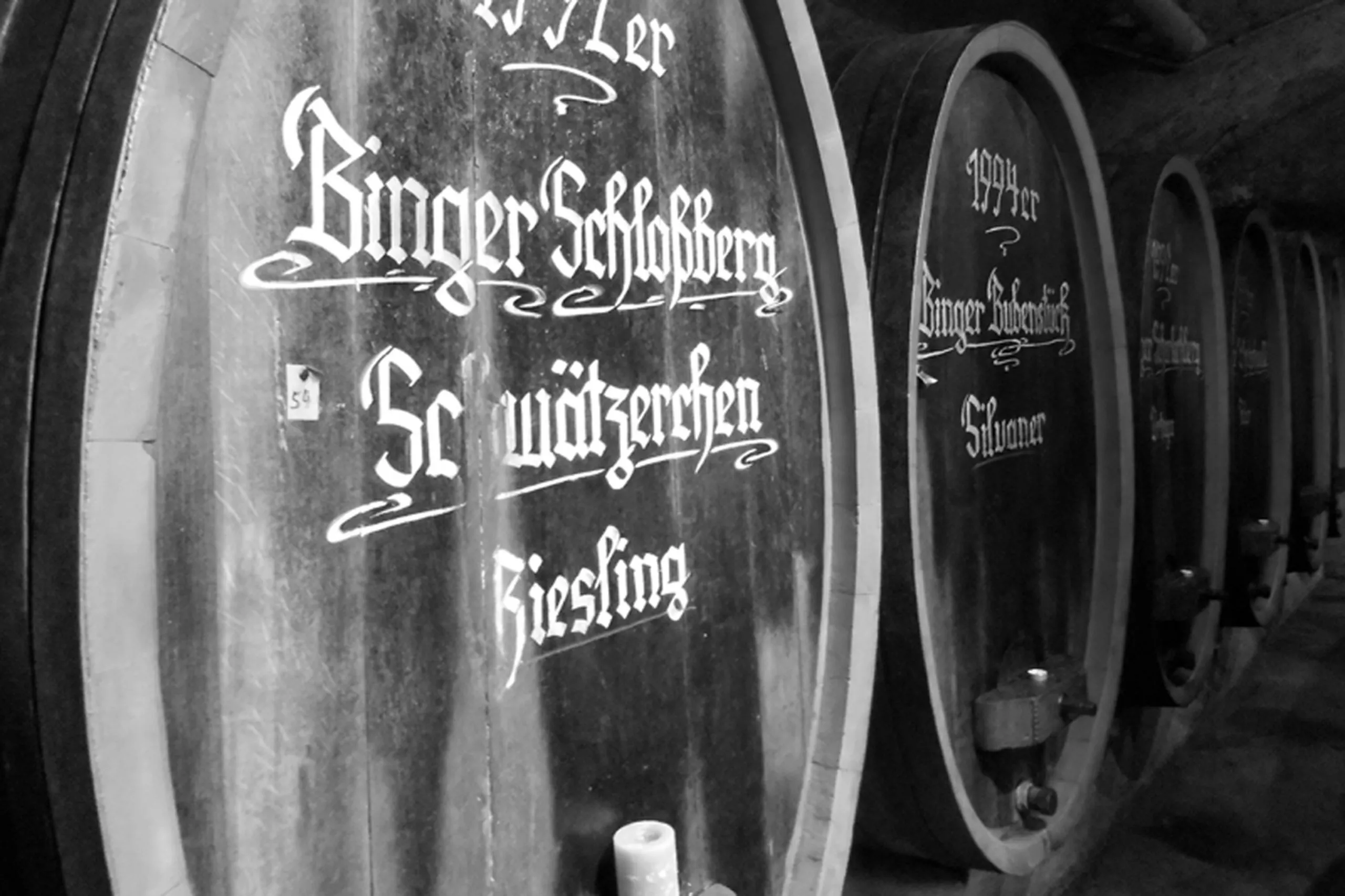 Weinlese: frisch gelesene Trauben im Weinfass