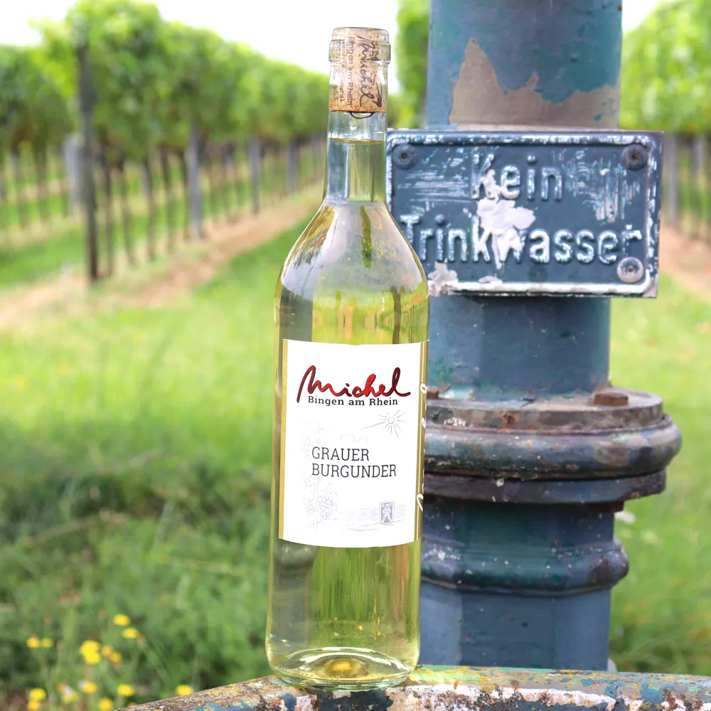 Spargelgenuss Weinpaket