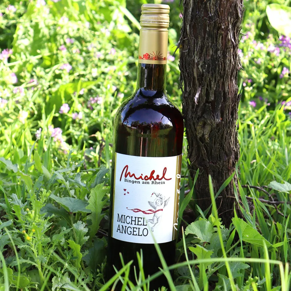 Unsere Wein-Probenpaket Empfehlung