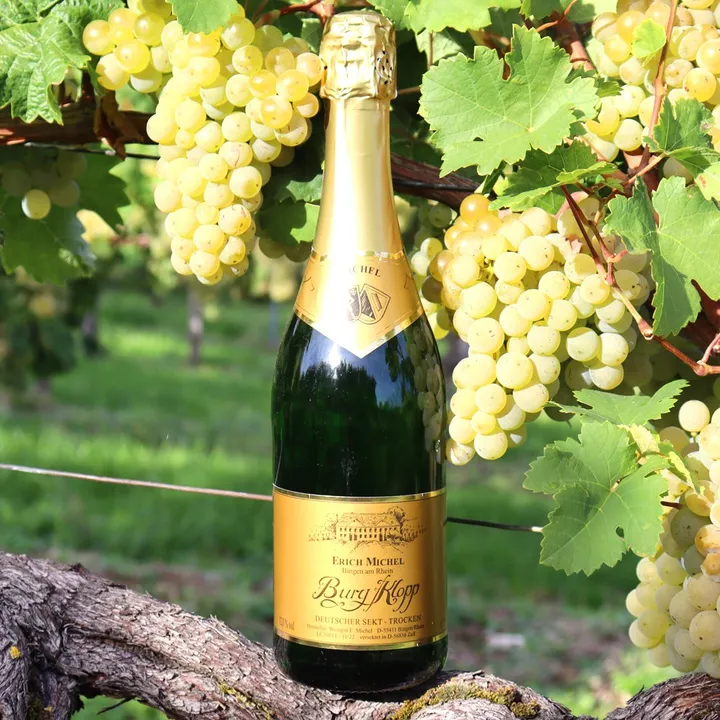 Den trocken fruchtigen Michels Burg Klopp Sekt vom Weinhaus Michel kaufen