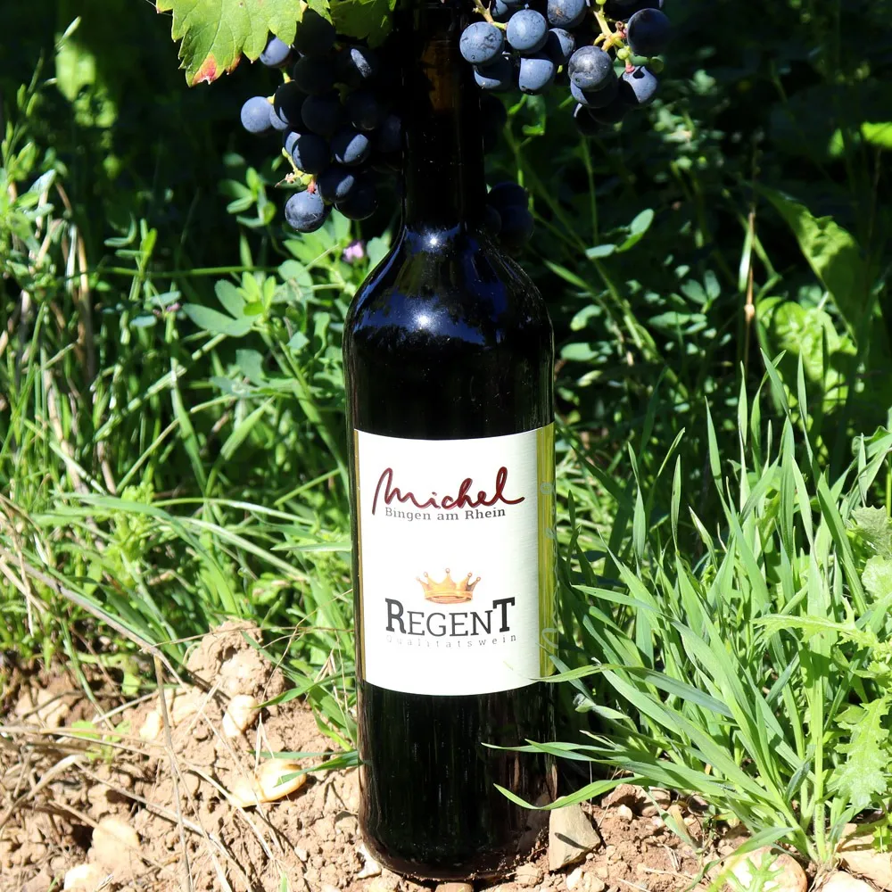 Unsere Wein-Probenpaket Empfehlung