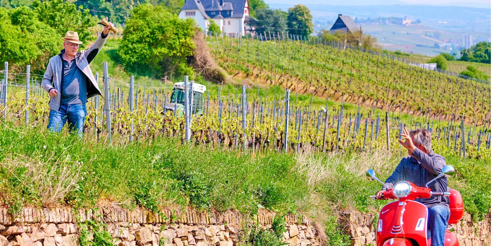 Winzer grüßt im Weinberg über Bingen, davor ein Besucher auf roter Vespa