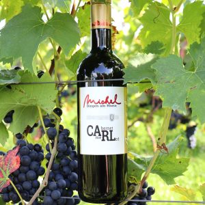CARL CArbernet + meRLot vom Weinhaus Michel kaufen
