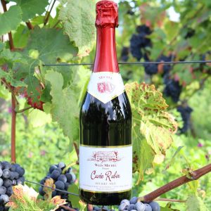 Cuvee Rubin Roter Sekt vom Weinhaus Michel kaufen
