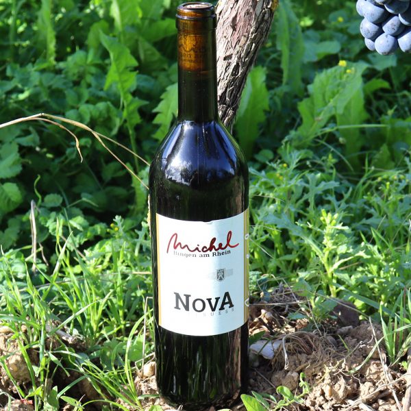 Nova vom Weinhaus Michel kaufen