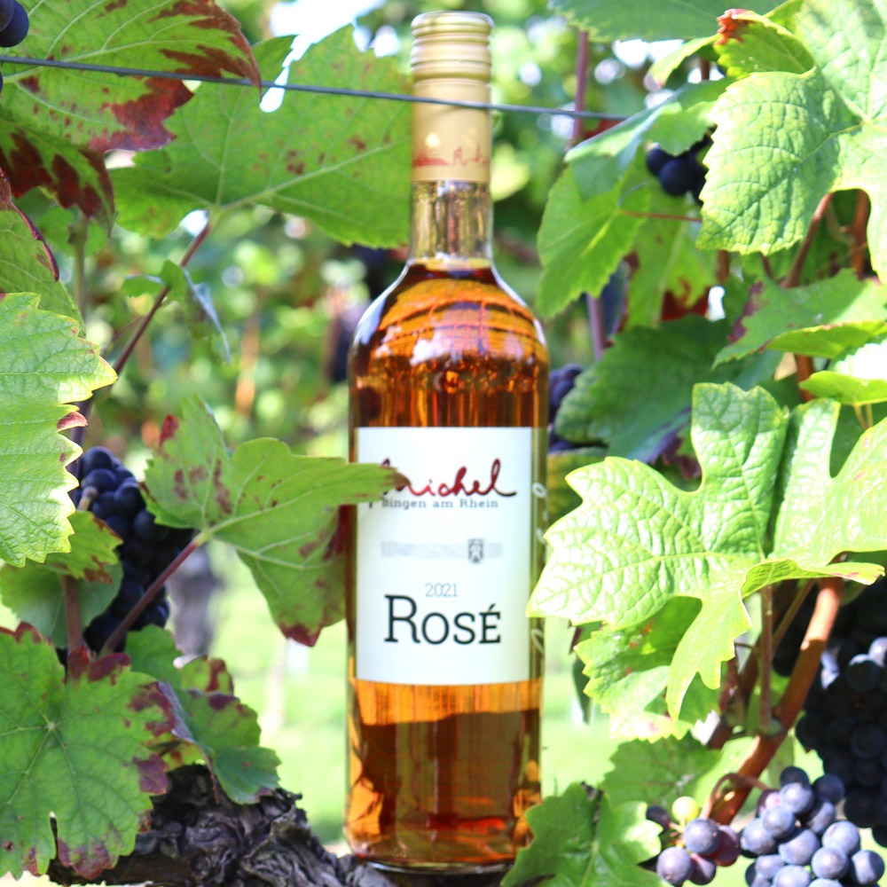 Rosé vom Weinhaus Michel kaufen